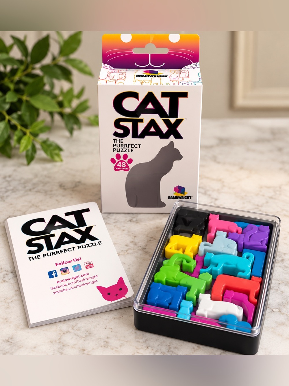 Cat Stax — The Purrfect Puzzle | Brainwright | 48 Challenge Cards | Complete Set